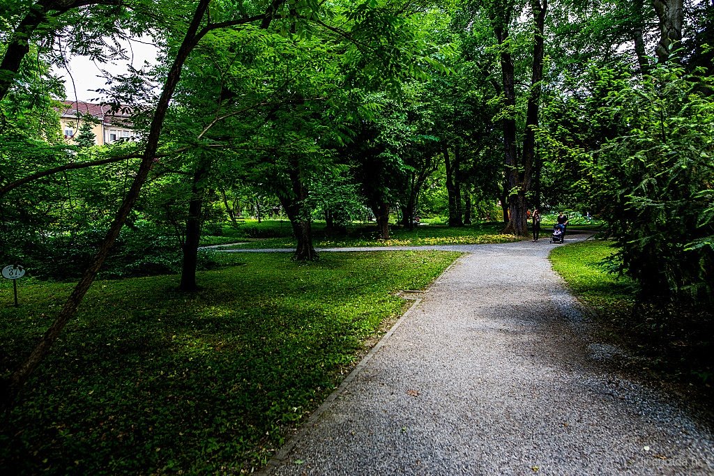 lice_grada's tweet photo. Hladovina Botaničkog vrta 😊😊 #BotanickiVrt #Priroda #Zagreb #LiceGrada https://t.co/SM2JoqVcOq