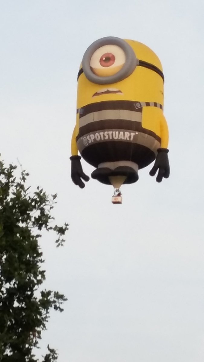 @SpotStuart found him!