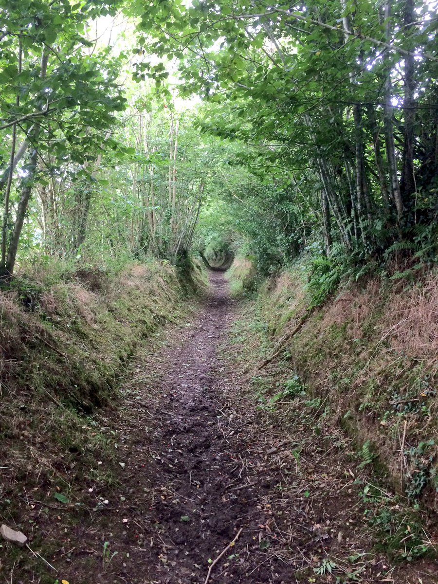 roscopackman's tweet photo. #TwoMoorsWay Day Six.
#ParsonageCross ➡️ #Knowstone ➡️ #YeoMill ➡️ #Hawkridge (#Exmoor) ➡️ #TarrSteps
- 13 miles (22km).

#Devon / #Somerset https://t.co/WzEDn8stCg