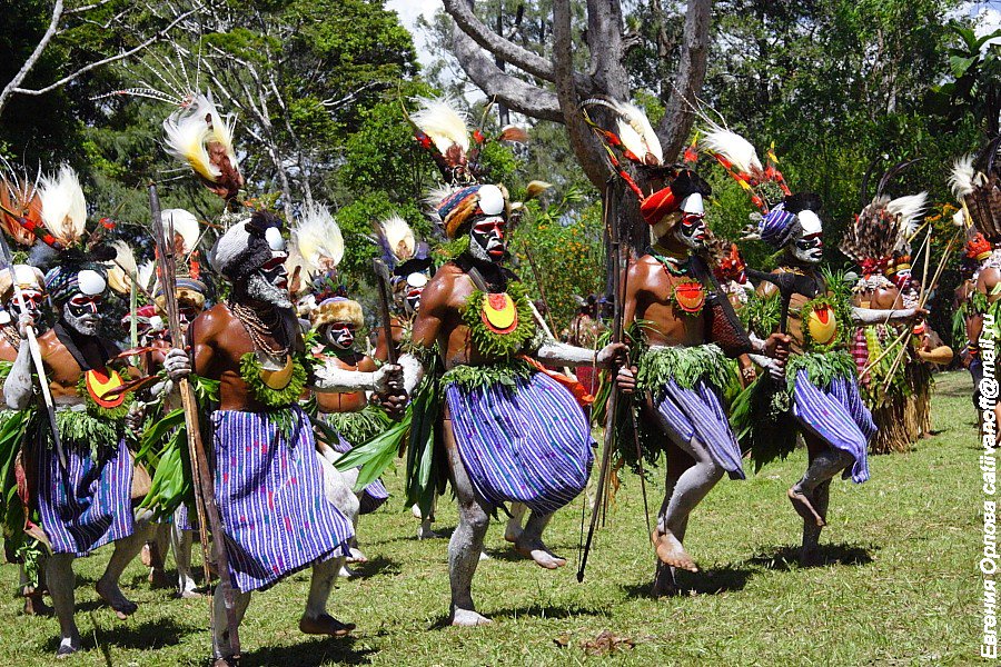 африканцы танцуют. ритуальные танцы африки. аборигены австралии ритуальные танцы. танцы африканских племен. ритуальные танцы племен африки.