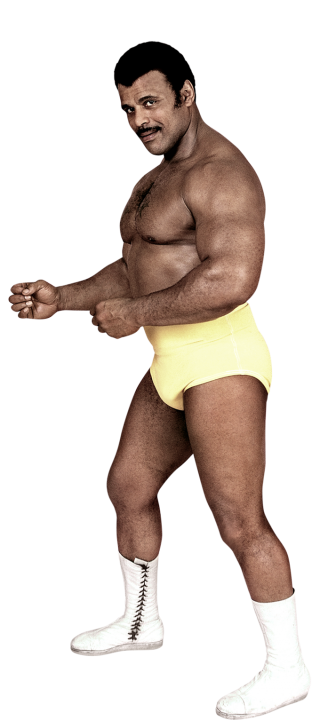 Happy Birthday \"Soul Man\" Rocky Johnson 