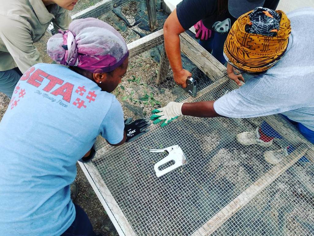 #manyhandsmakelightwork #farmerstarter #farmshareATX