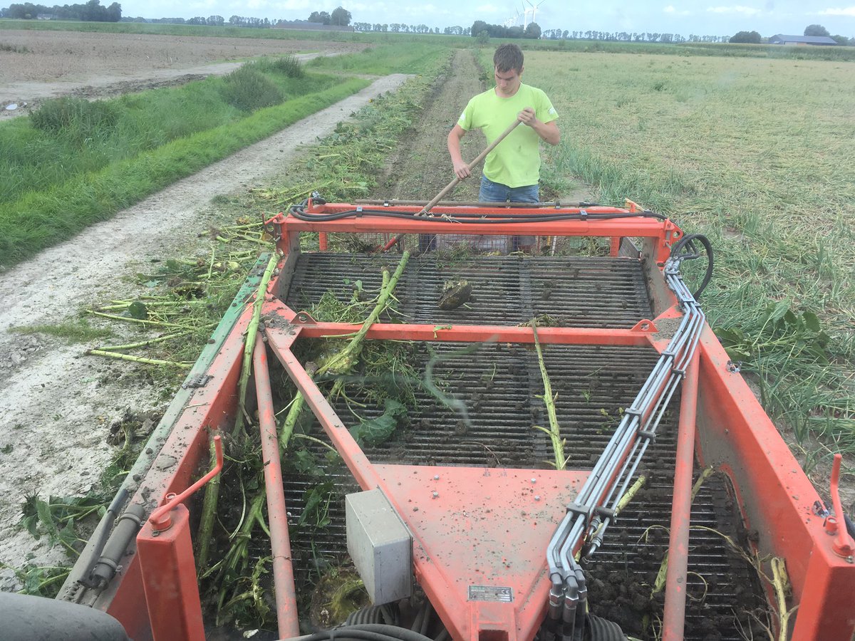 De mogelijk heden zijn eindeloos  #holaras #mooi idee