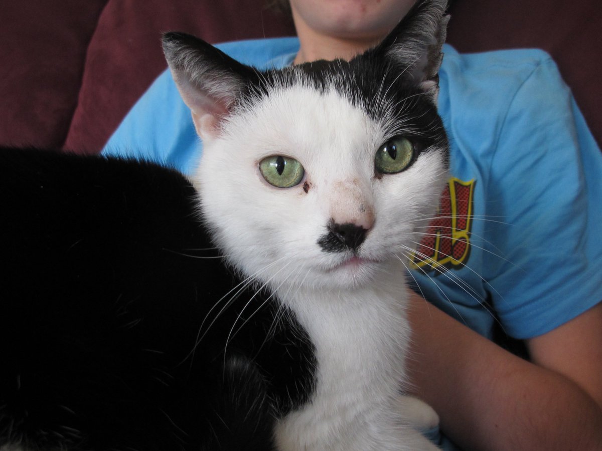 Ingepinge tweet media