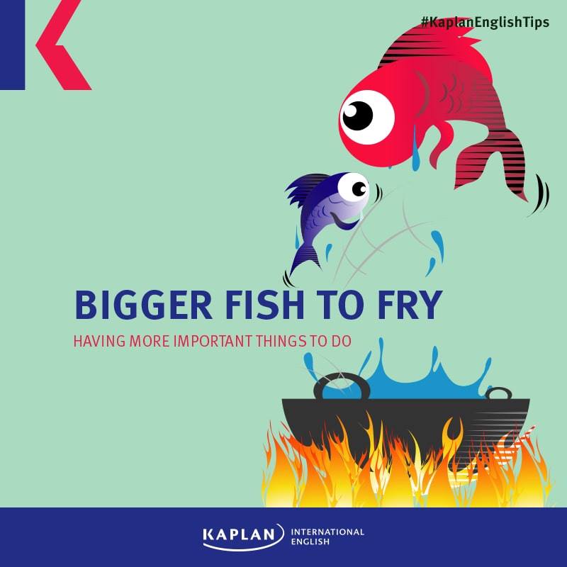 KaplanFrance's tweet photo. 💬 Expression : "I have bigger fish to fry" 🐟
Parce qu'on ne fouette pas les chats. 🐱
👉https://t.co/j1rchQdVAP
#idiom #KaplanEnglishTips https://t.co/dJJTRtKMCc