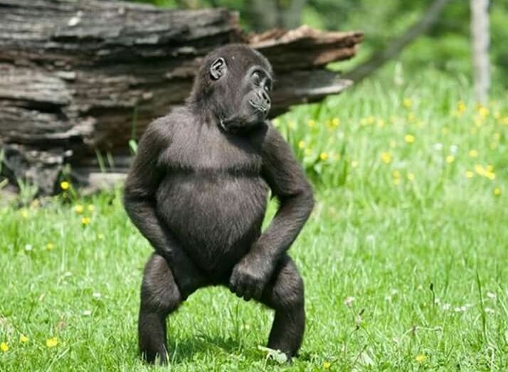 PhathahOfficial's tweet photo. #BellJamz
Leg over
My baby gimme leg over aaaaaaahm
(Maximum) https://t.co/NARgALWosI