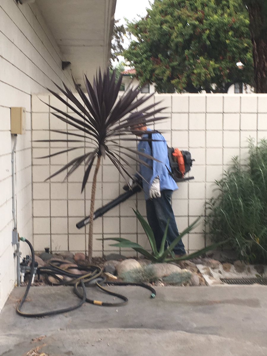 Thank you to the Grounds Crew for keep the district office beautiful. @LHSchools @LhcsdCrew  #LHCSD #beautifulDO