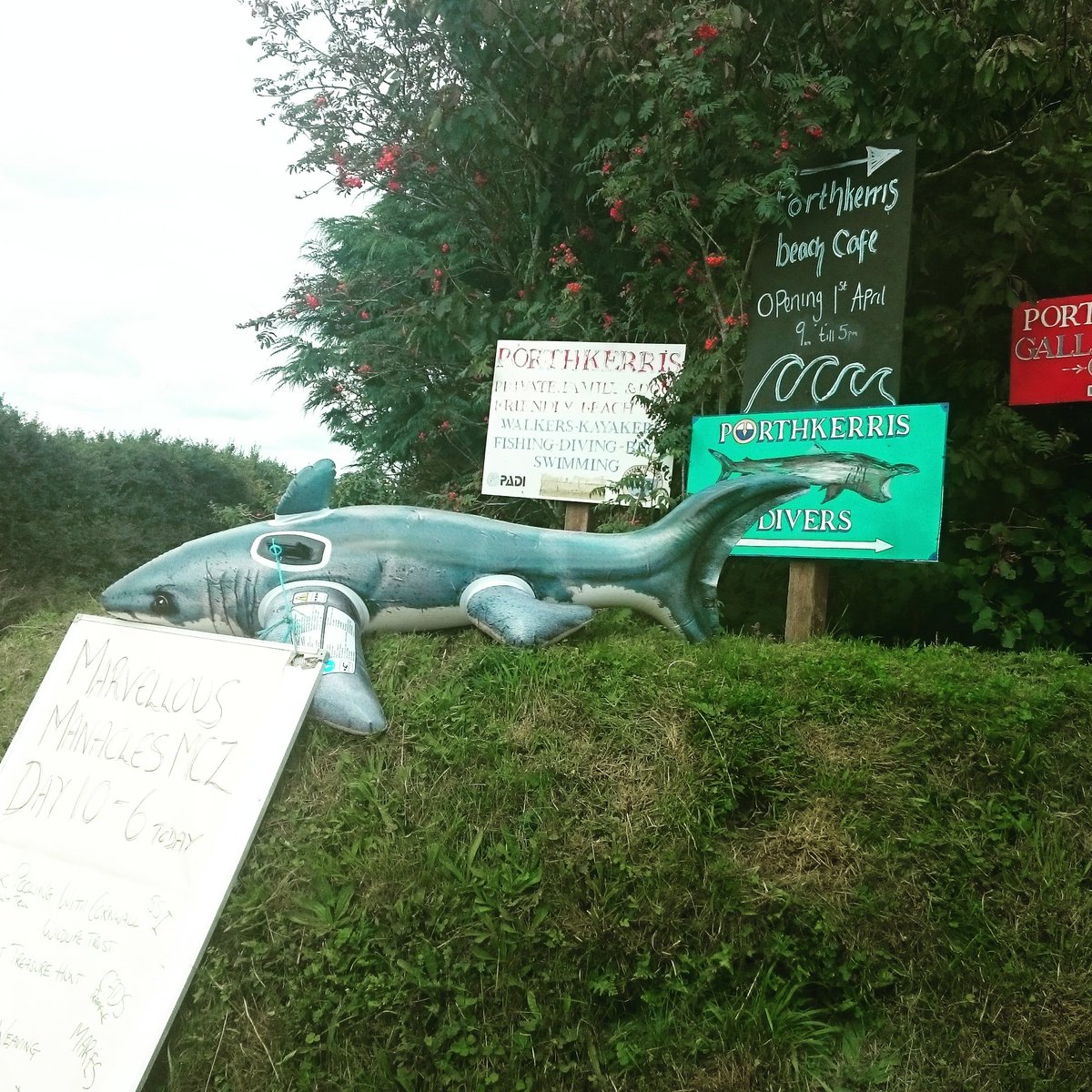 Porthkerris we have landed! BFD camp is being set up ready for the rest of the club to arrive tomorrow for our annual wkend away! #Freedive