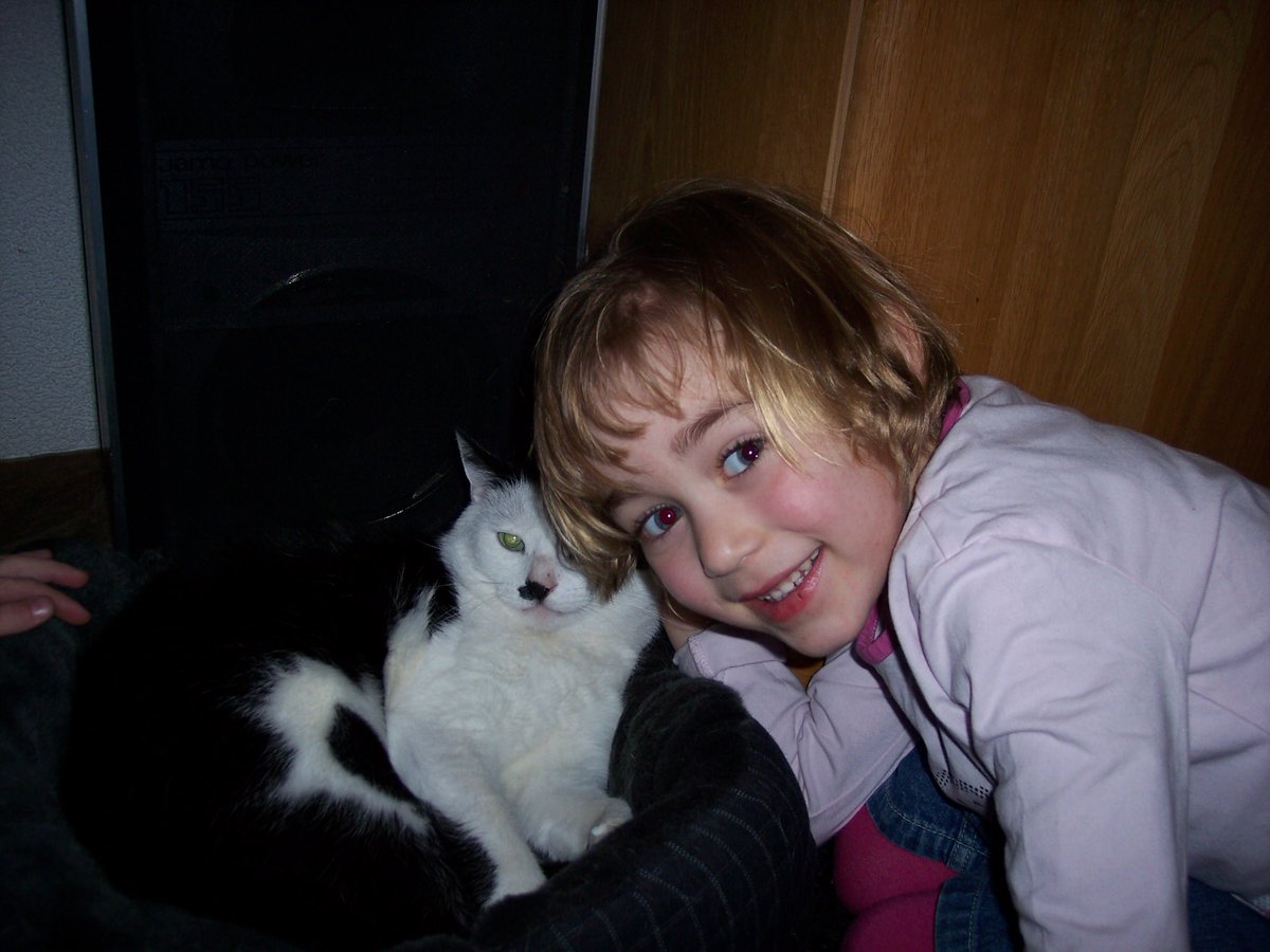 Ingepinge tweet media