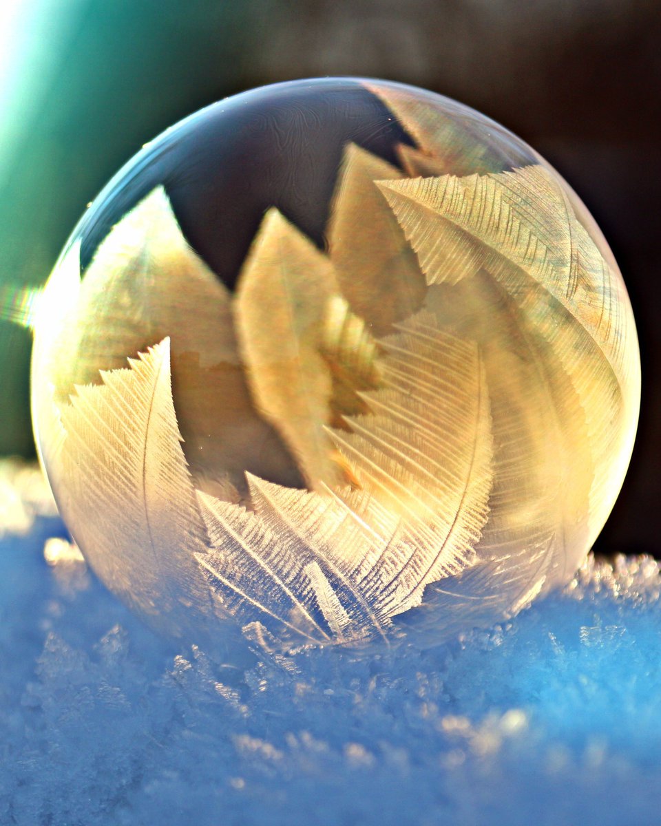 モトケン Oorer En Twitter 凍ったシャボン玉が美しい Photo By Rihaij シャボン玉 冬 雪 霜 自然 きれい 癒し 癒される 吸い込まれそう Beautiful 癒し 気品 繊細 極上 ずっと見ていたい と言うか作ってみたい T Co Xajqhnyxz2