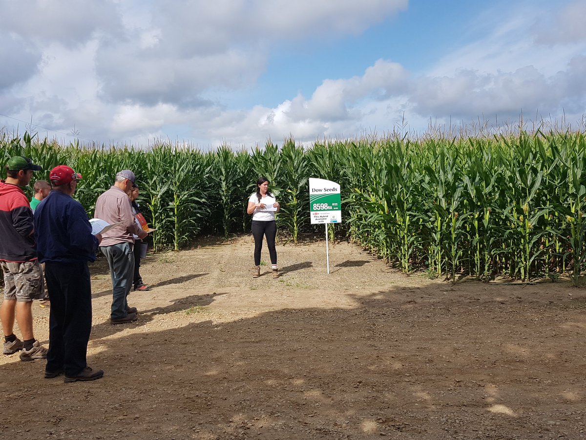 Attending <a href="/forestagri/">Darryl Ayris</a> Ag Day. Dow Seeds corn plot tour led by <a href="/gracej7/">Grace Jones</a>