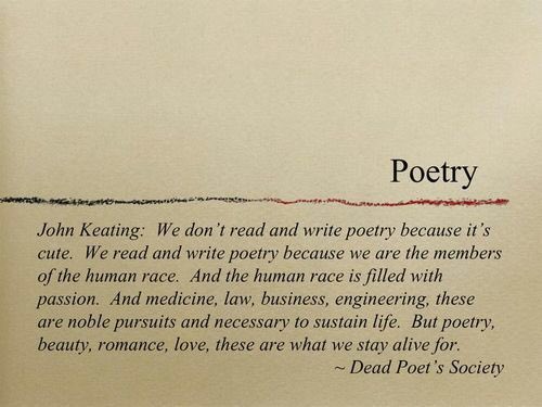 paradoxical___'s tweet photo. https://t.co/mwxPHa7HJG