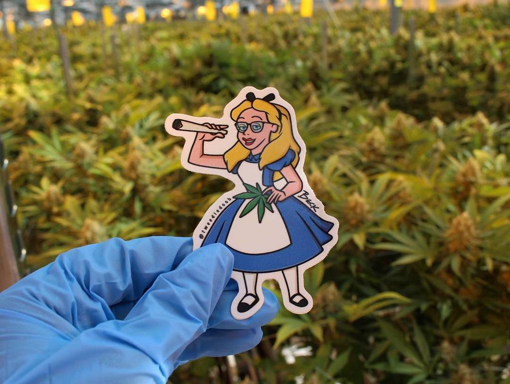 tweedledoob's tweet photo. Why, sometimes I've believed as many as six impossible things before breakfast. Lewis Carroll. 🌱🌱 #StayHigh #StayD… https://t.co/2e8J7TVuJ4 https://t.co/CK5ROeH9YA