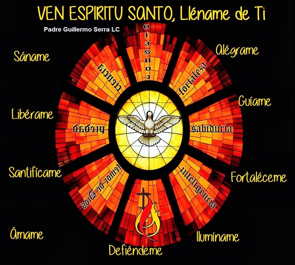 VirgenCoromoto's tweet photo. Señor ahora más que nunca Venezuela🇻🇪 necesita al Paráclito para hacer lo correcto y forme a tu voluntad. https://t.co/nNMDNtD2sk