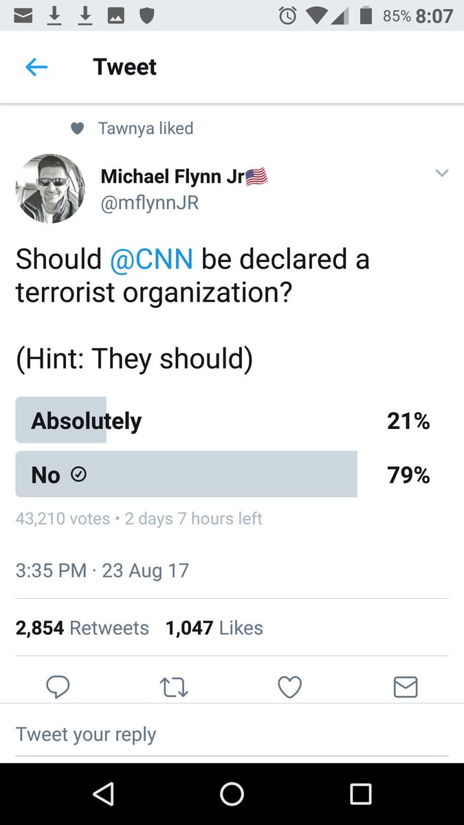 dam90042's tweet photo. @mflynnJR doesn't look like your poll faired too well. Accept it just like your #POSOTUS @realDonaldTrump does #Putin every night! https://t.co/pzkZDVzXfw