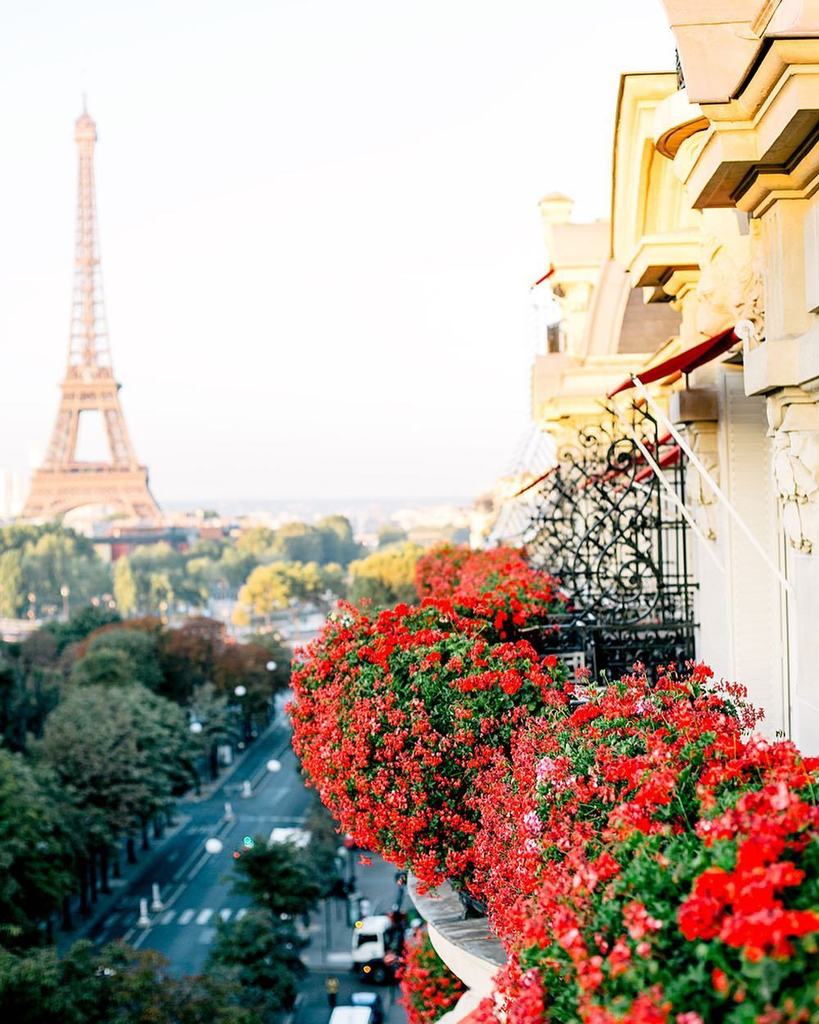 Plaza_Athenee's tweet photo. Some views are unforgettable and stayed etched in the memory ♥️ Thank you @journeyintolavillelumiere for this incredible shot ✨ https://t.co/xtuXXkUt9x