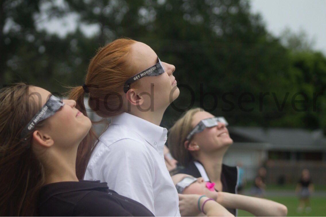 The Gold Observer tweet media