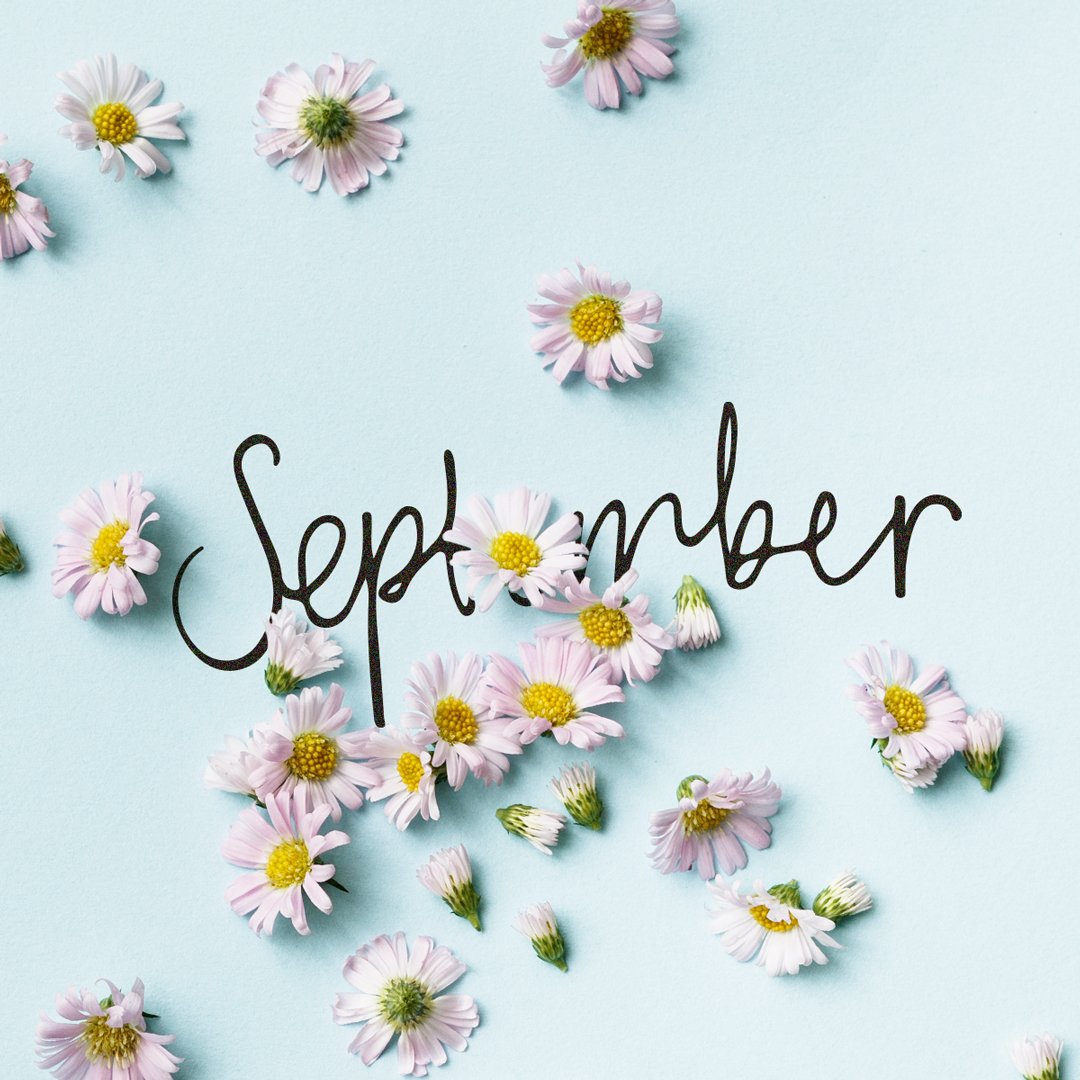 BloomandWild's tweet photo. Hello September! (the month and the blooms!) https://t.co/pGu6m9wXnY