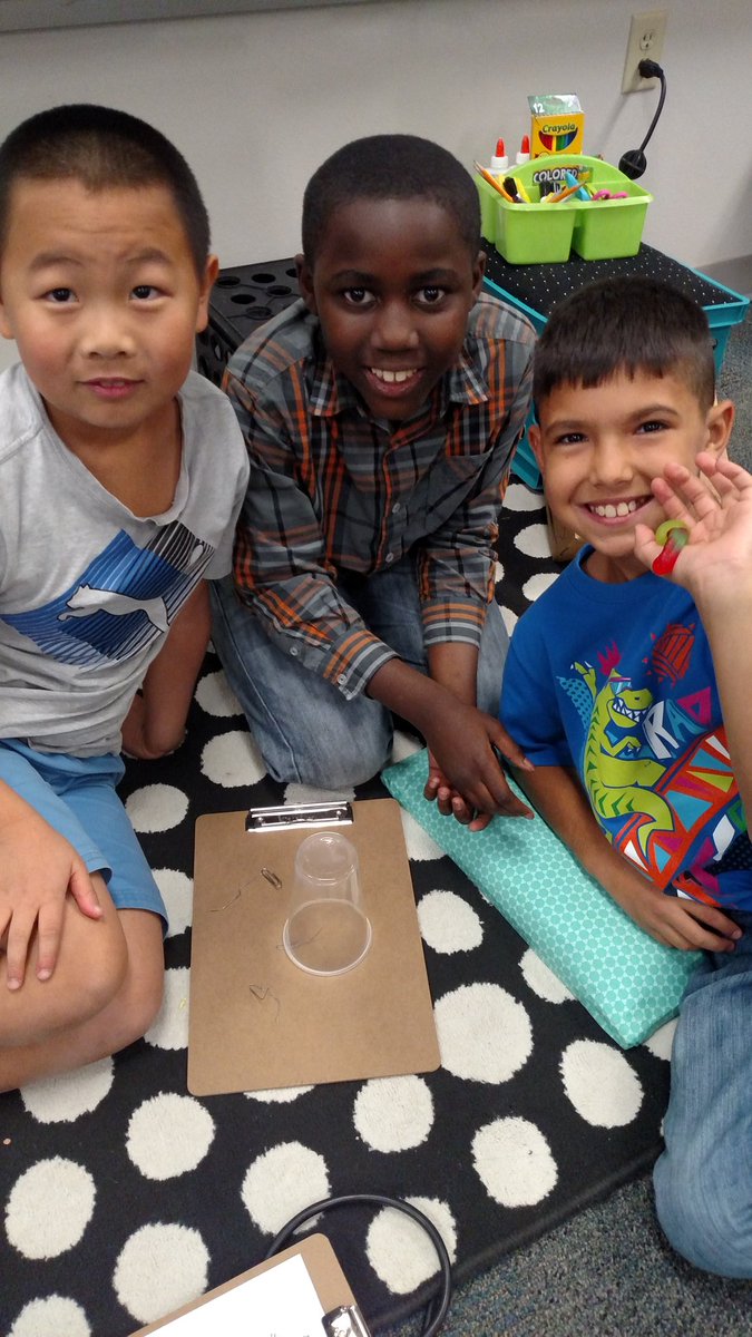 MrsW4thgradeJAV's tweet photo. Saving Fred in Fourth Grade today! @JAVitovsky_Elem @MisdProud @ThinkBig https://t.co/h9cvIjL5a9