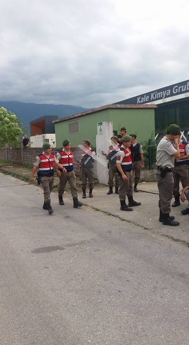 Resmi Twitter'da görüntüle