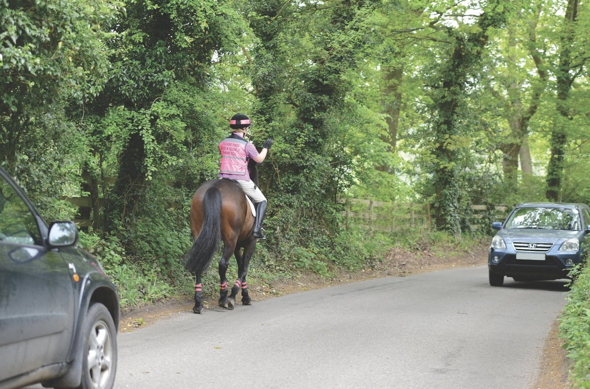 Do as would be done by – always thank every driver who shows you any courtesy at all #EquineHour #PassWideAndSlow