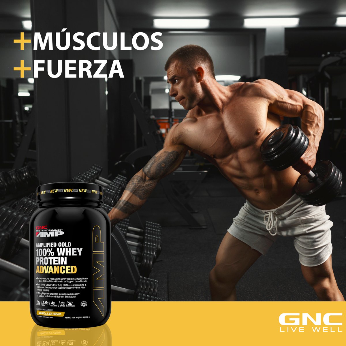 AMP Gold Protein Advance contiene 24g de acción rápida de suero aislado e hidrolizado, más proteína ultra filtrada de apoyo muscular magra.