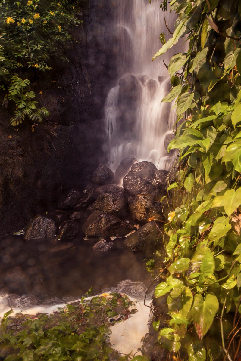 AngeloDefensor's tweet photo. @edenproject #edenphotocomp 
Waterfalls inside the Rainforest https://t.co/kega2eYjUj