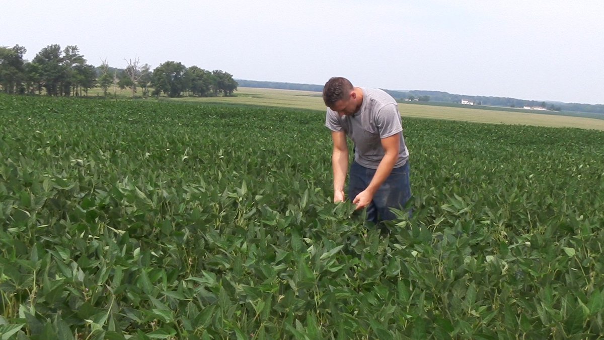verdesian's tweet photo. Learn why @IversFarms recommends #PresideCL on every #soybean acre in today’s #InoculantInsider https://t.co/3VbMDhTW1D #InoculantROI https://t.co/YwvgI7fjdQ