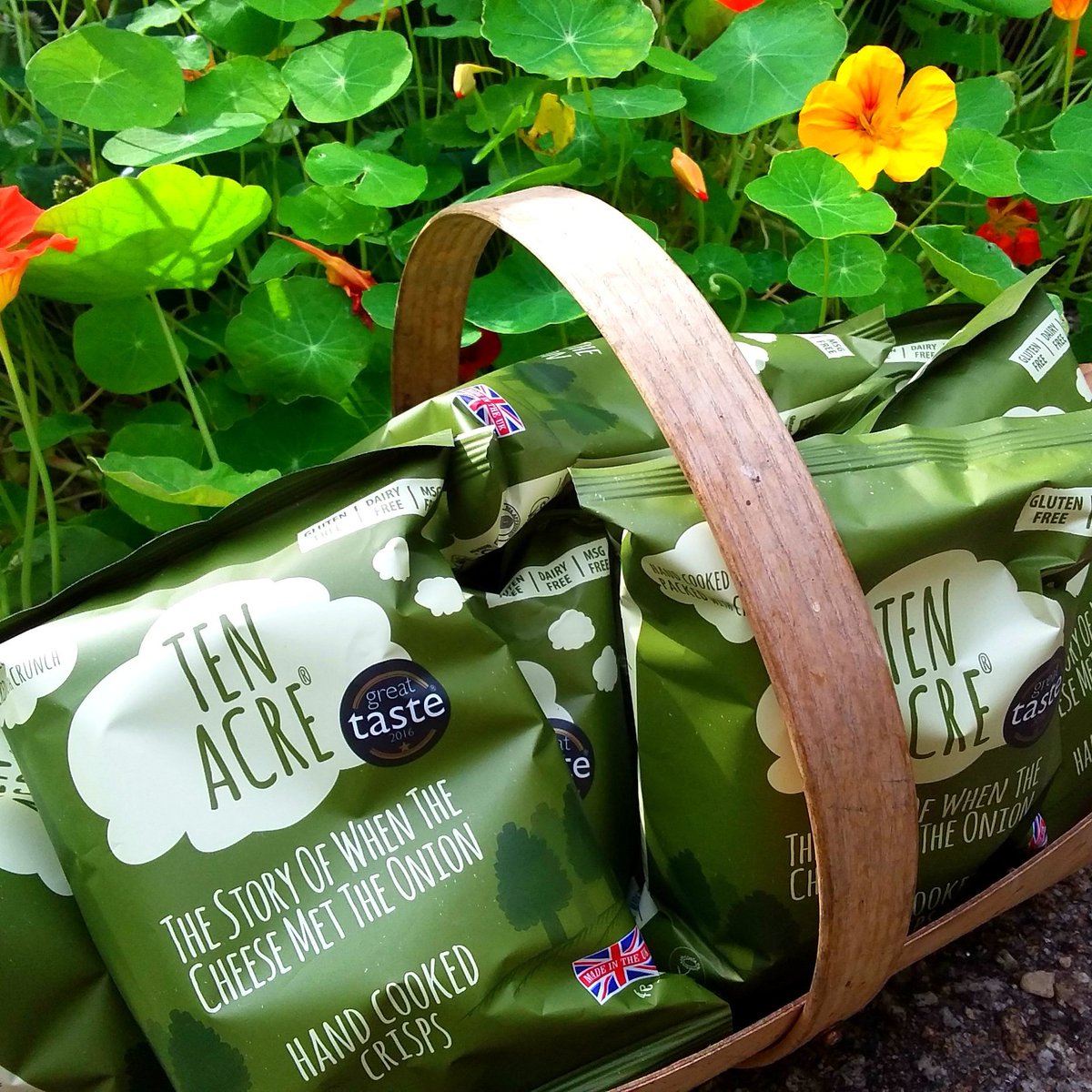 VeganBigBro KPSS Ⓥ 🌻🌱🎗 tweet media