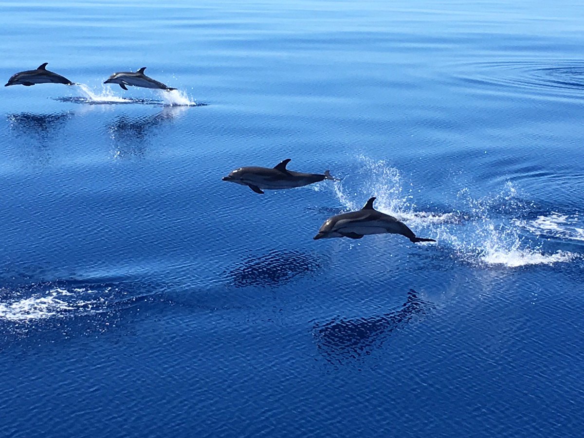BurgessYachts's tweet photo. Here are some of our favourite entries from Week 3 of the 'Crew Photographer of the Year' #competition. Like them on our Facebook page! https://t.co/DrSQS42JQ9