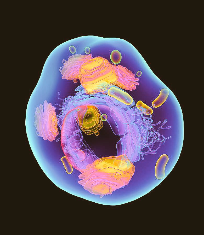 nowgoingup's tweet image. When I'm numb,
I can almost forget to remember 
You're not here.
But some days,
Like today,
Every cell in my body
Is on fire with your loss.