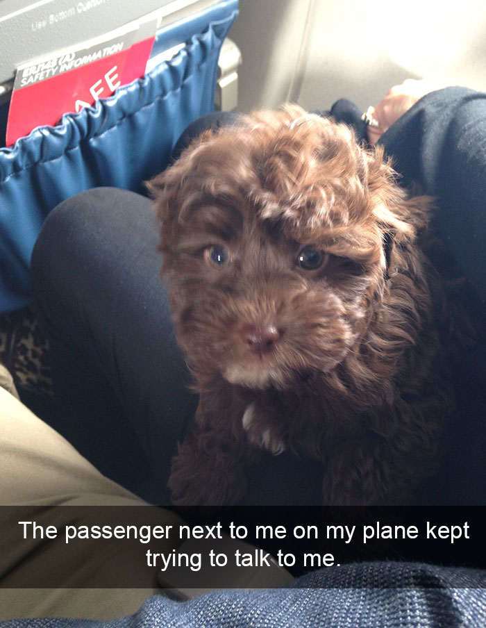 MyTeSmile's tweet photo. π π
See More Images Here π π https://t.co/GNyKxJz7my
For More Visit Page : @BoxMyte
#funny #funnypics #picture #pics #MyTeBox https://t.co/3egWPLtCMK