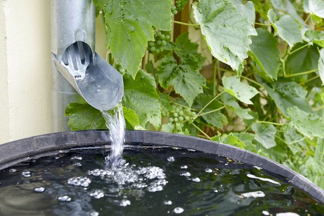 HomeAdvisor's tweet photo. Here are 8 reasons to put a rain barrel in your yard. https://t.co/qkIBhtrwlK https://t.co/Q8BA4m2dpf