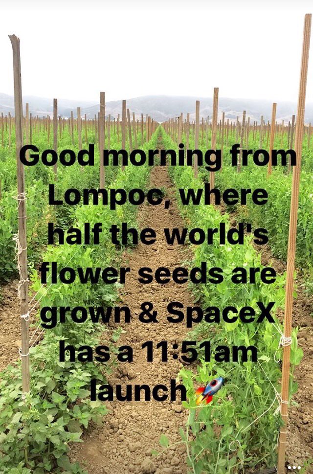 SandyMazza's tweet image. Sun&apos;s up, social media posts up #spacex #formosat5