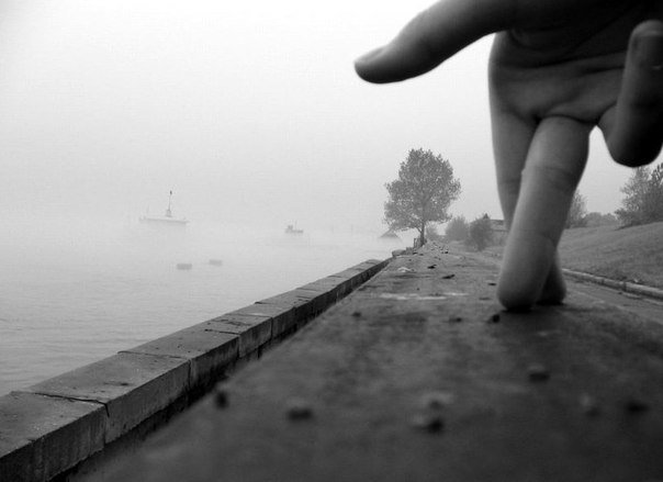 Пепейон4ик tweet media