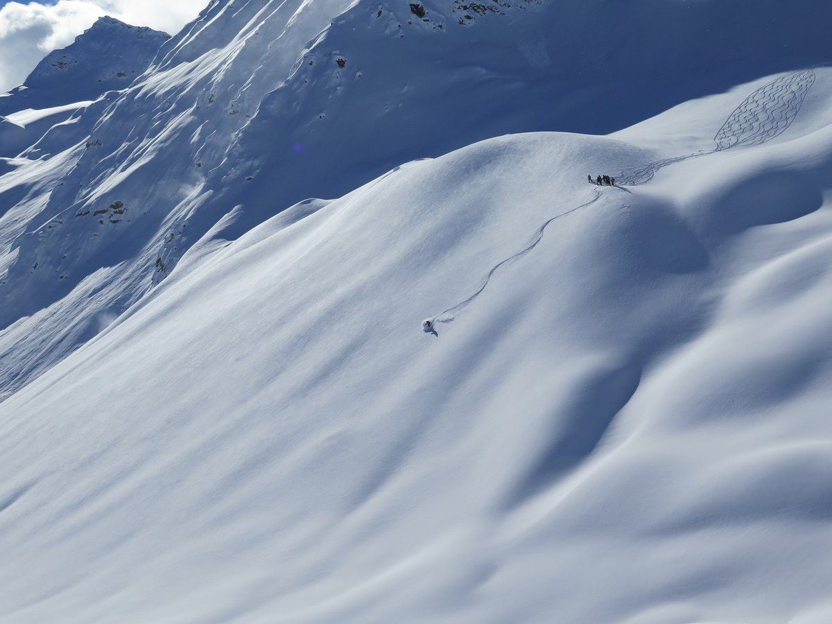 purcellheliski's tweet photo. Nothing like a blank canvas... #ShredOn #BigAlpine #SkiPurcell https://t.co/x8Bnj9uFEK