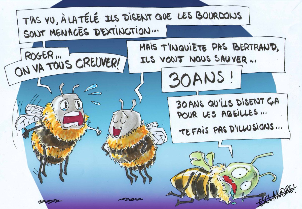 LeQuerelleur's tweet photo. #abeilles #bourdons #écologie #dessindepresse #pollution #pesticides https://t.co/GB6dPGDXLh
@greenpeacefr 
@WWFFrance 
@Reporterre
@FNEasso https://t.co/dY0AlpR2QH