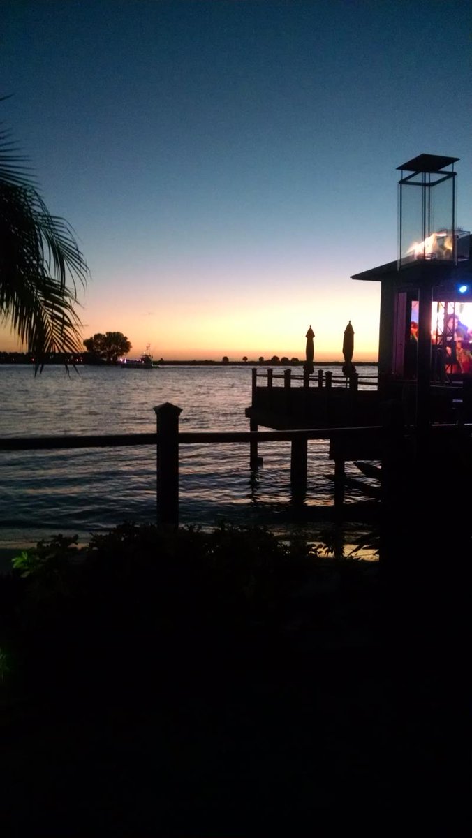 صدفة tweet media