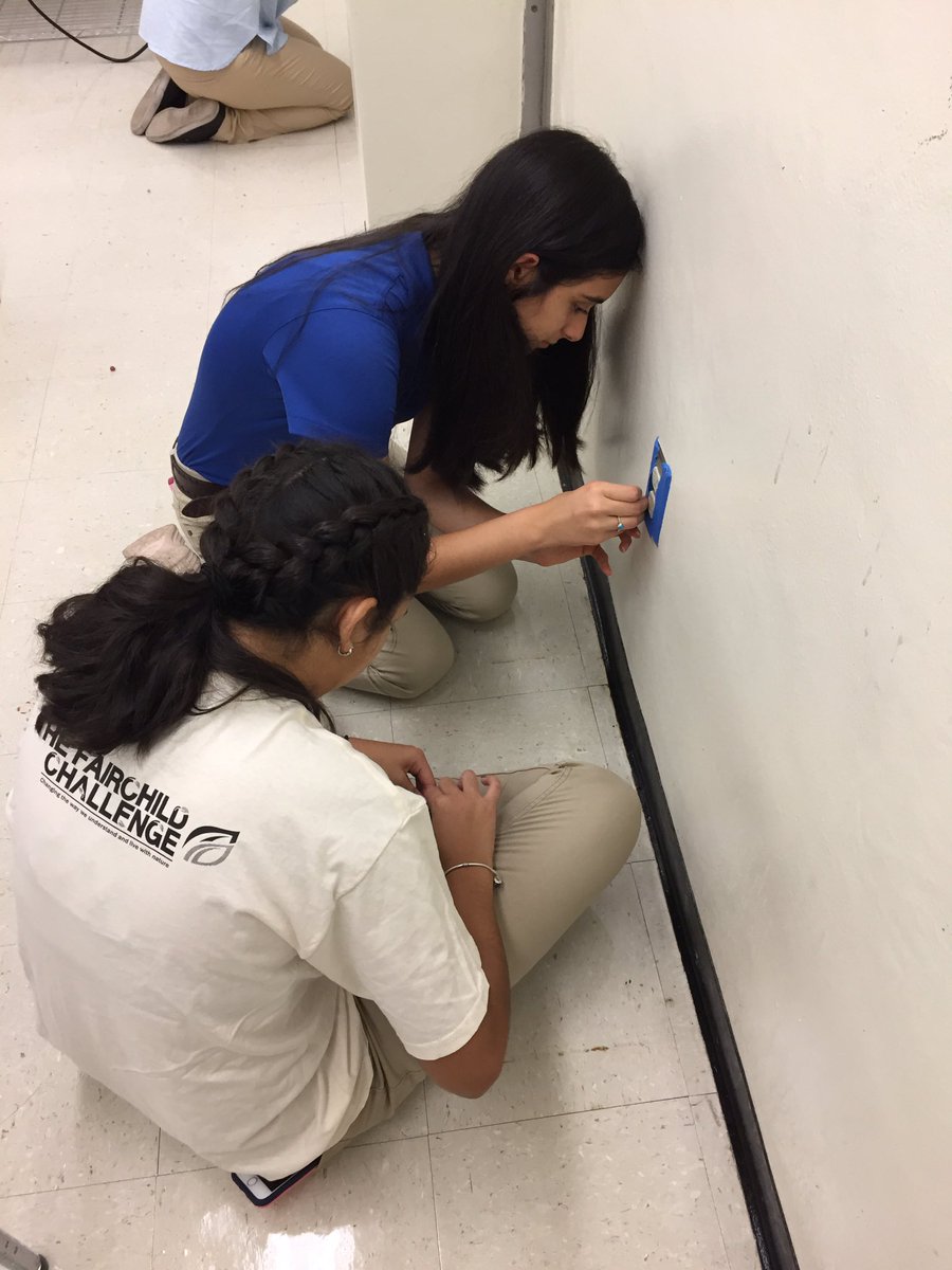 andrewkearns64's tweet photo. Botany students at @josemartimast  preparing our #BotanyLab for painting! #ownership #mast1718 @MDCPSSTEAM @STEMDesignation @FairchildGarden https://t.co/ICbFOo4AoG