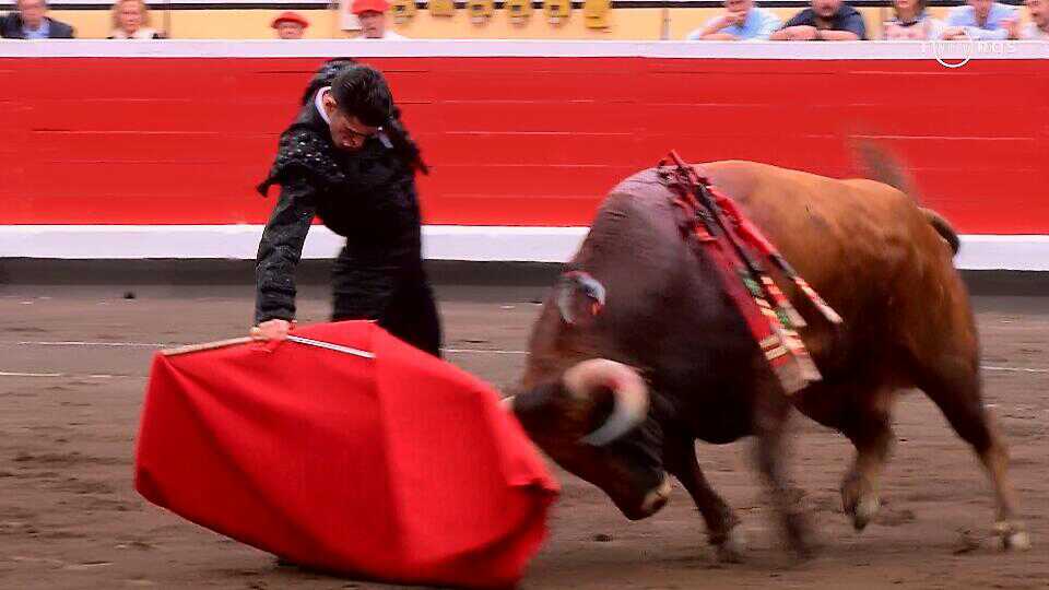 Javitaurino__'s tweet photo. Talavante es torero hasta vendimiando. https://t.co/FvTUoqNukb