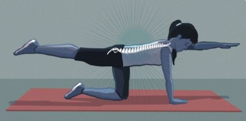 EliteWSS's tweet photo. A comprehensive guide to the new #science of treating lower back pain. Via @voxdotcom. #Health #Fitness #Chiropractic #PhysicalTherapy https://t.co/ymHYUFSVU8