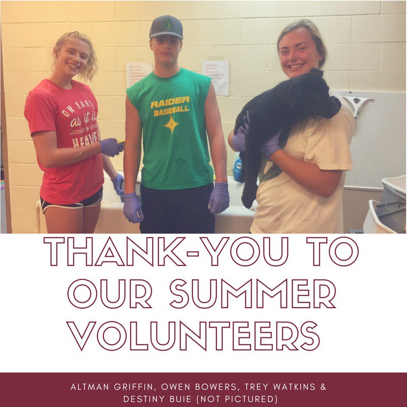 rcoecodev's tweet photo. #adoptdontshop #shelterpetsarebest #volunteersrock https://t.co/xhiG0pR4Pg