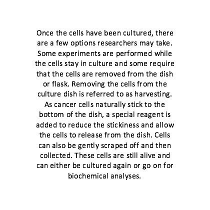 KingstonRIOT's tweet photo. Harvesting cells! #TissueCultureCrashCourse #TCCC https://t.co/zkvq0nPwDj