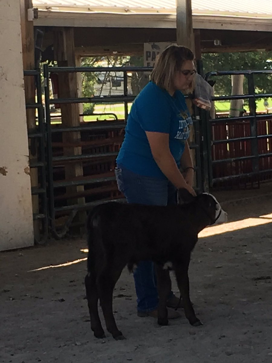tricobbffacoach's tweet photo. Congratulations to Abbie Askins for competing in the Section 24 Livestock show with her steer. https://t.co/HSR8LuAI1Z