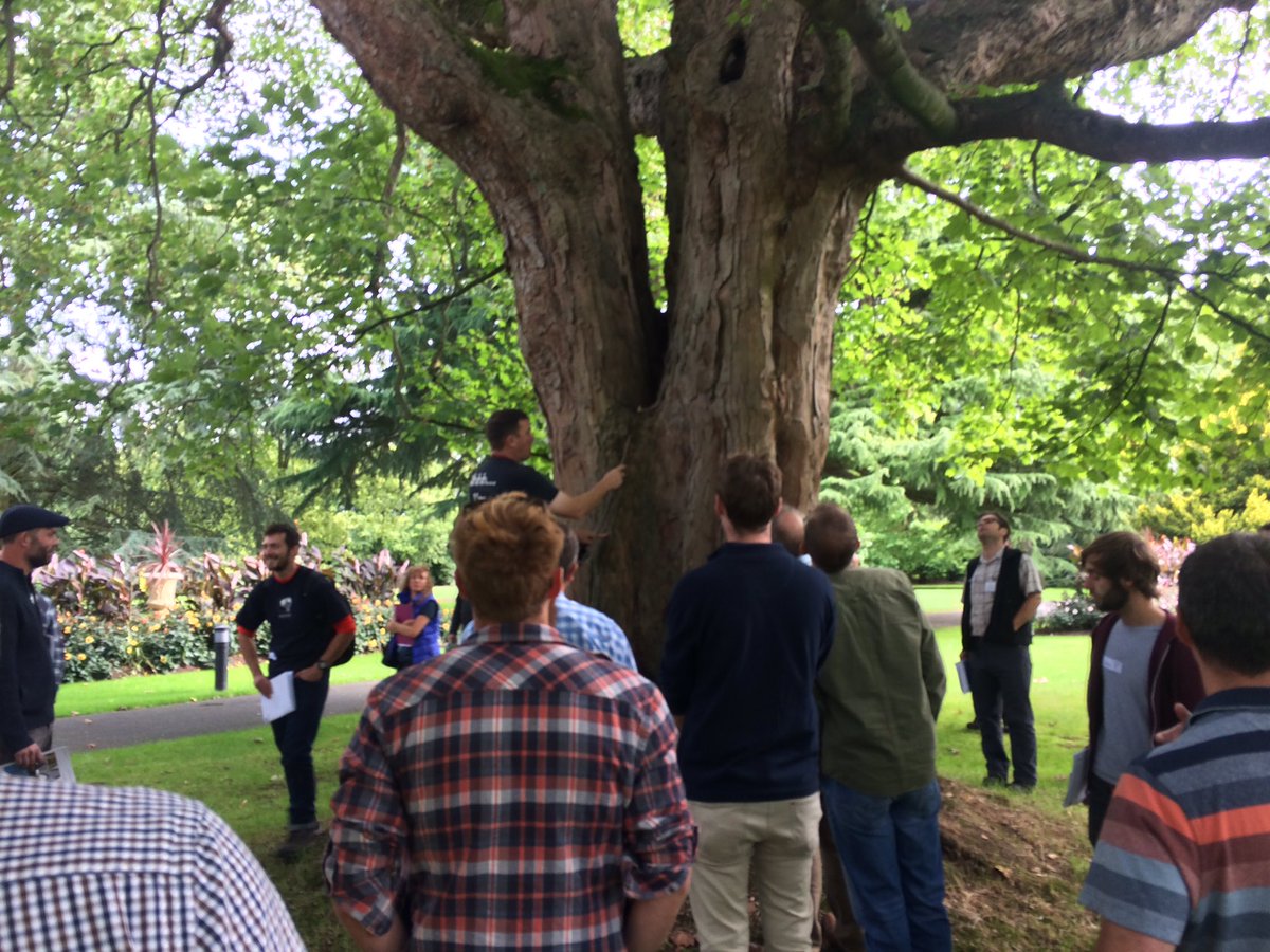 salopian_trees's tweet photo. An excellent days CPD with @ArbAssociation delivered by Dr Duncan Slater discussing #likelihoodoftreefailure #naturalbracing #treeforks https://t.co/28ycF7jDZp