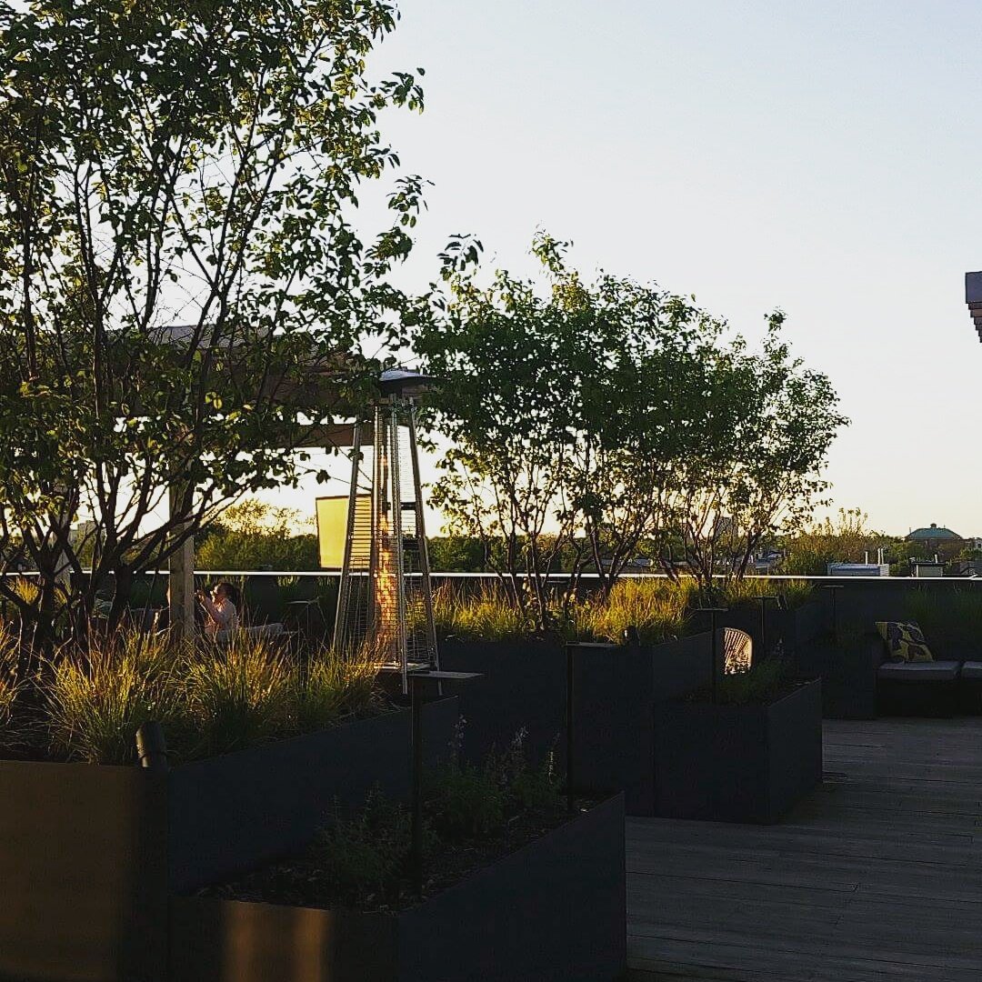 LuxeOnChicago's tweet photo. A beautiful day for the rooftop! #luxeonchicago #luxurylifestyle #luxelife #luxurylife #luxuryrooftops #rooftop #rooftopgrilling #summer https://t.co/ZWiWZQraFA
