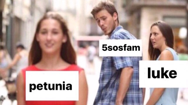 5SOS_Daily's tweet photo. i'm just here for the petunia updates tbh https://t.co/KNLQ63mIlL