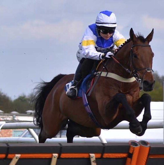 jamiesnowden's tweet photo. #OurThreeSons runs another cracking race to be 2nd under @page_fuller @FontwellPark #SoGame https://t.co/fpNg1P2Iht