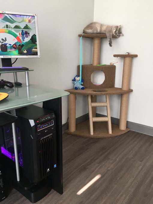 The view from my desk 💜 https://t.co/EM9d5ul66e<a href="/tag/nbatopshot"class="tags"><span>#nbatopshot</span></a>