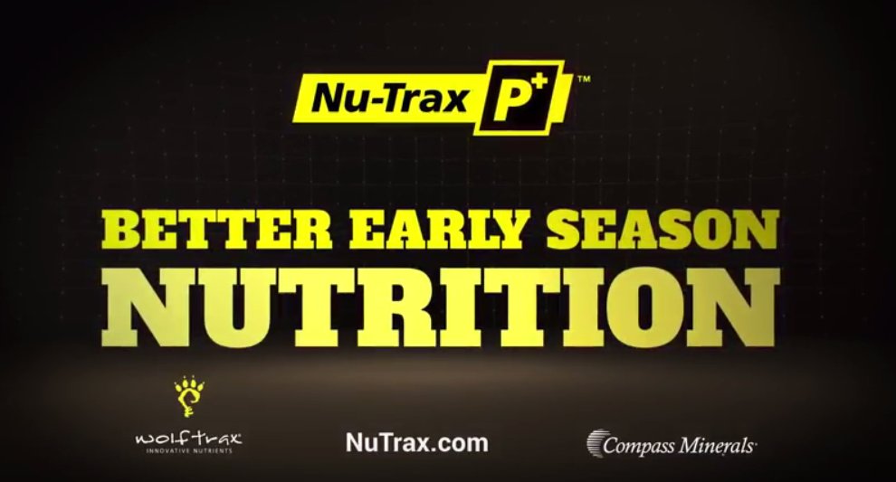 NuTraxP's tweet photo. Get all the details about the early season crop #fertilizer, Nu-Trax P+, with our E-Learning tool: https://t.co/vQS6fhgp2E https://t.co/cJdm6pMWjf
